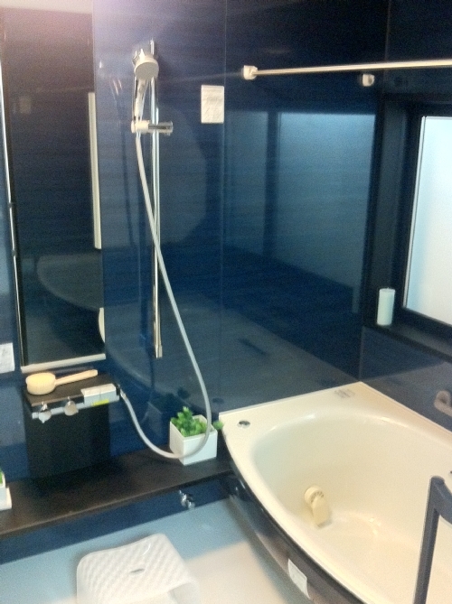 o0500066912095438998